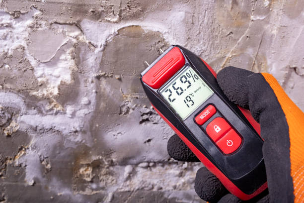 Trusted Otsego, MI Mold Remediation Experts
