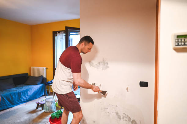 Best DIY Mold Remediation Support Services in Otsego, MI